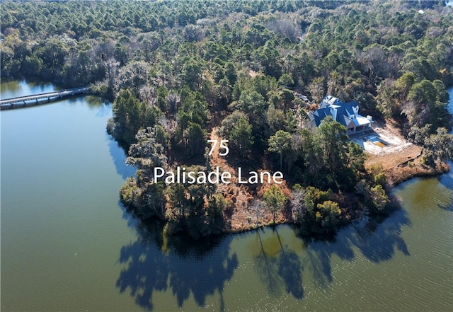 75 Palisade Ln, Saint Simons Island, GA 31522