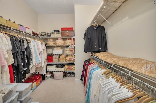 1064 Sea Palms W Dr, Saint Simons Island, GA 31522 - spacious closet featuring carpet floors