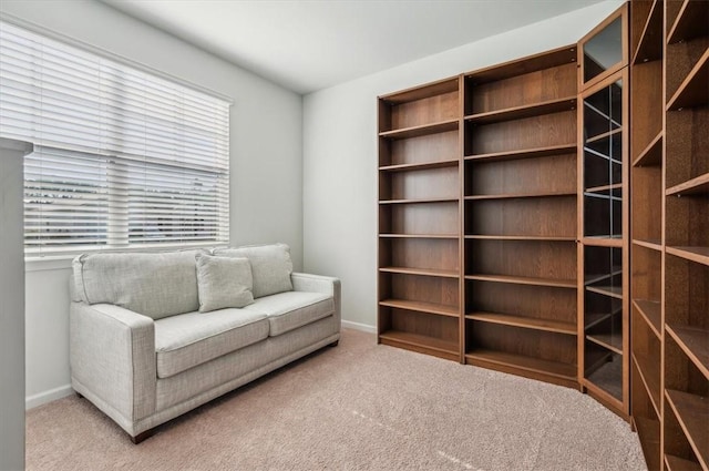 sitting room featuring carpet