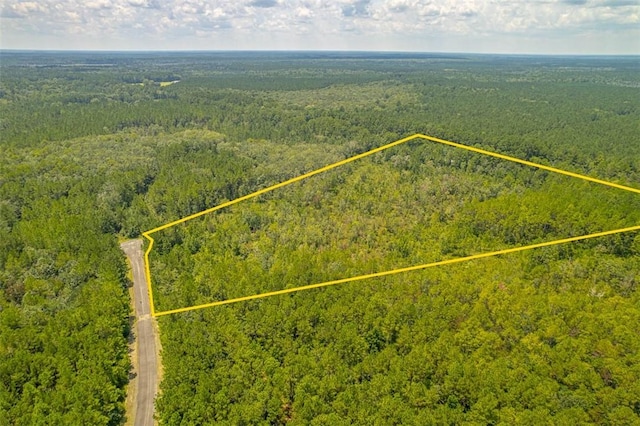 Listing photo 3 for LOT2 James Ln, White Oak GA 31568