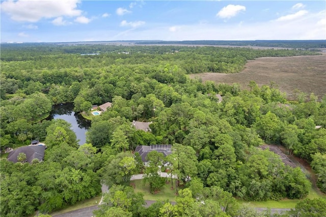 117 Serenoa Dr, Brunswick, GA 31523 - aerial view of property's location with a heavily wooded area