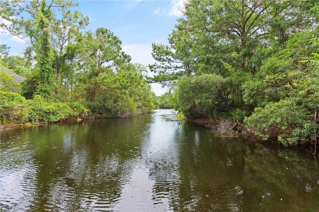 117 Serenoa Dr, Brunswick, GA 31523 - water view