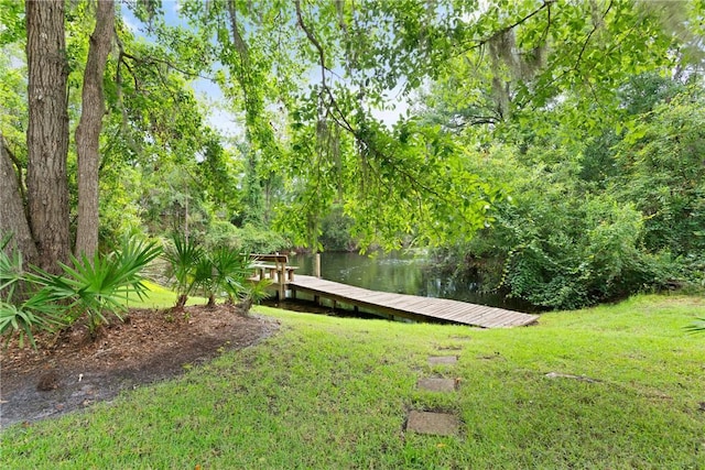 117 Serenoa Dr, Brunswick, GA 31523 - dock with a lawn and a water view