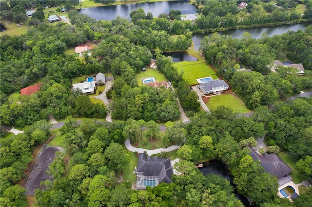117 Serenoa Dr, Brunswick, GA 31523 - aerial view of property's location with a nearby body of water and a tree filled landscape