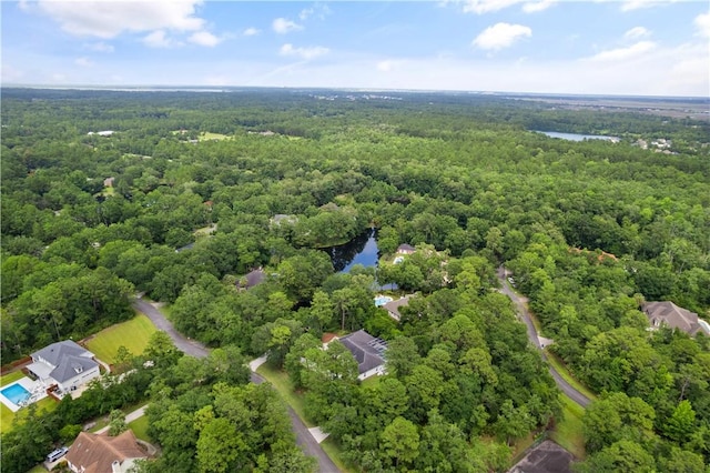 117 Serenoa Dr, Brunswick, GA 31523 - aerial view of property's location featuring a heavily wooded area and a nearby body of water