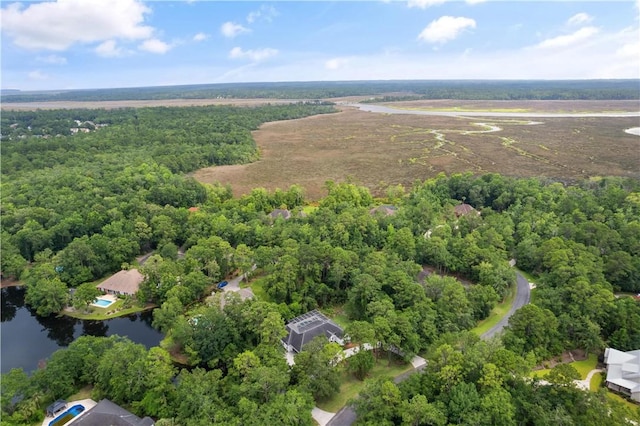 117 Serenoa Dr, Brunswick, GA 31523 - aerial view of property and surrounding area featuring a large body of water and a heavily wooded area