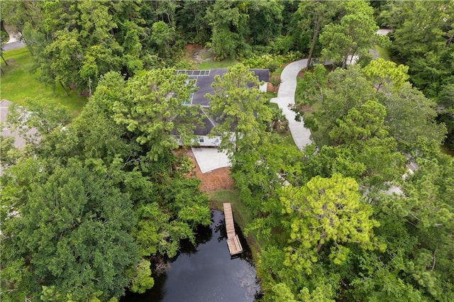 117 Serenoa Dr, Brunswick, GA 31523 - bird's eye view of a large body of water