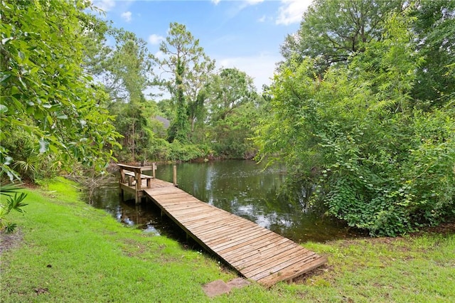117 Serenoa Dr, Brunswick, GA 31523 - dock area featuring a water view