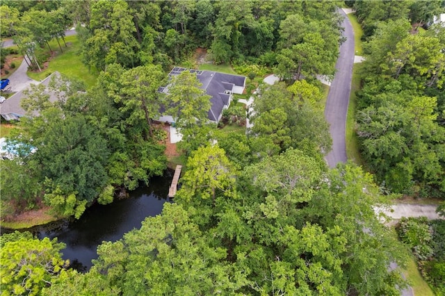 117 Serenoa Dr, Brunswick, GA 31523 - aerial overview of property's location with a large body of water