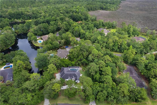 117 Serenoa Dr, Brunswick, GA 31523 - aerial overview of property's location with a large body of water and a forest