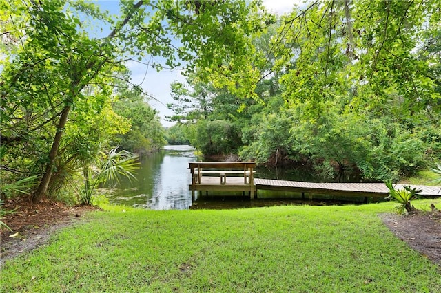 117 Serenoa Dr, Brunswick, GA 31523 - dock area with a water view and a lawn