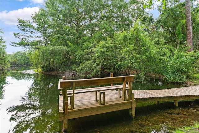 117 Serenoa Dr, Brunswick, GA 31523 - dock with a water view and a wooded view