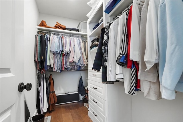 spacious closet featuring wood finished floors