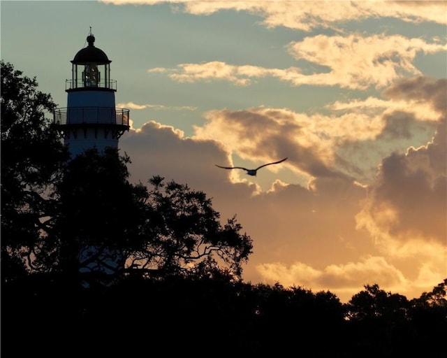 view of nature at dusk