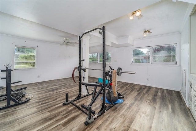 1007 Atlantic Ave, Waycross, GA 31501 - workout room featuring plenty of natural light, wood finished floors, crown molding, and ceiling fan