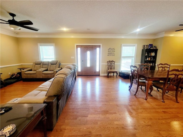 living room with ceiling fan, light hardwood / wood-style floors, ornamental molding, and a textured ceiling