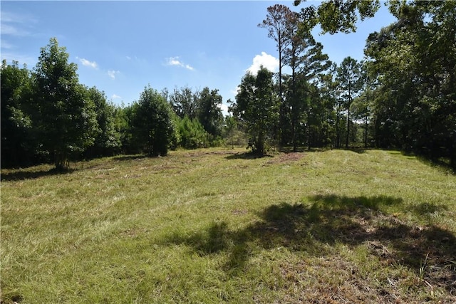 350-370-415 Jenkins Farm Rd, Brunswick, GA 31523 - photo 7