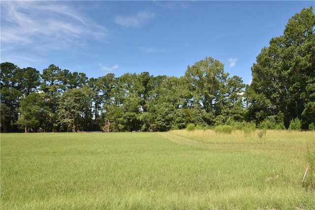 350-370-415 Jenkins Farm Rd, Brunswick, GA 31523 - photo 5