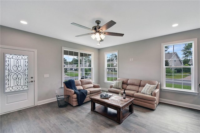 living room with hardwood / wood-style floors, ceiling fan, and a wealth of natural light