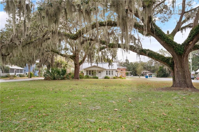 view of yard