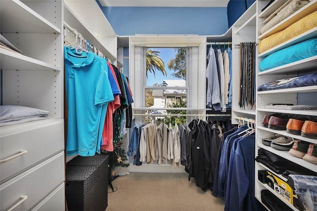 spacious closet with carpet floors