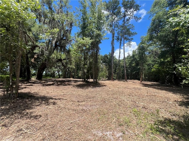 Listing photo 3 for 0 Sanderling Trce, Waverly GA 31565