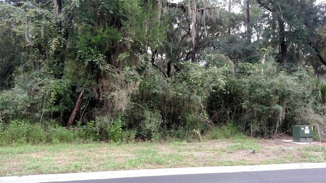 509 Campbell Pkwy, Saint Marys, GA 31558 - photo 5