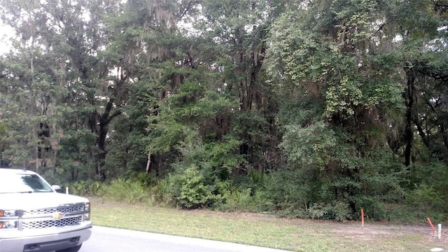 509 Campbell Pkwy, Saint Marys, GA 31558 - photo 6