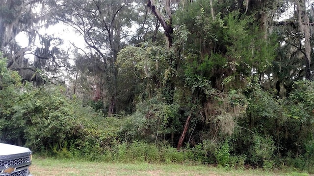 509 Campbell Pkwy, Saint Marys, GA 31558 - photo 4