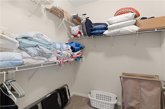 spacious closet featuring carpet