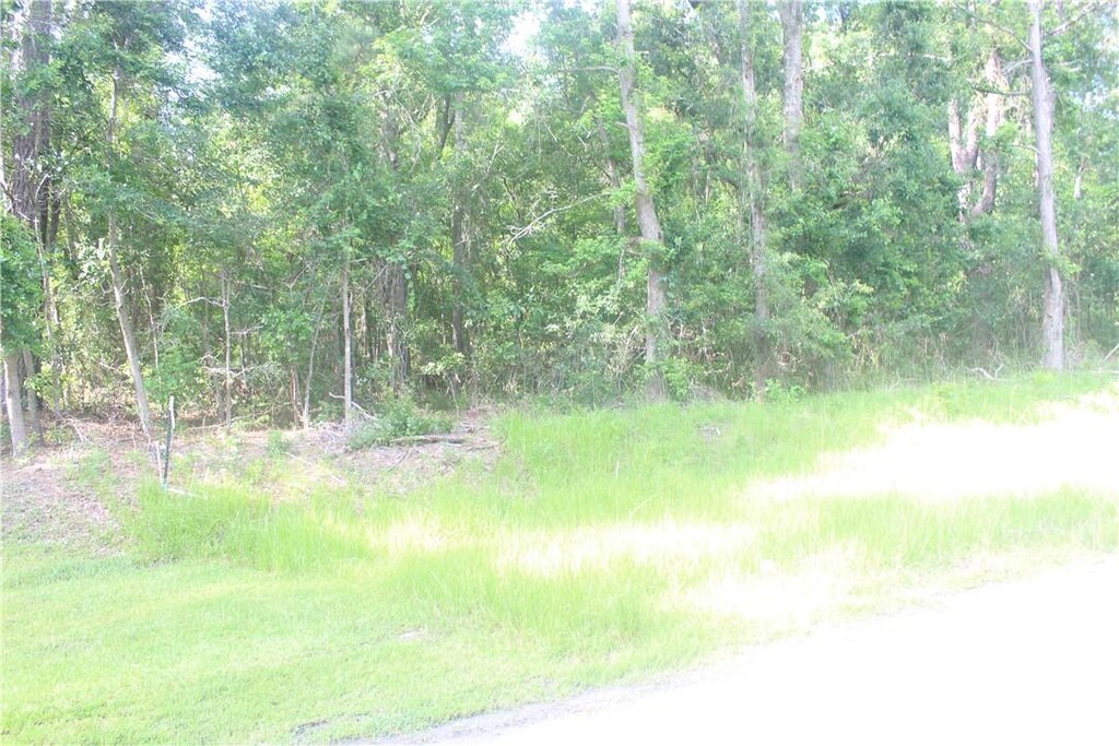 2976 Ardoch Rd, Townsend, GA 31331