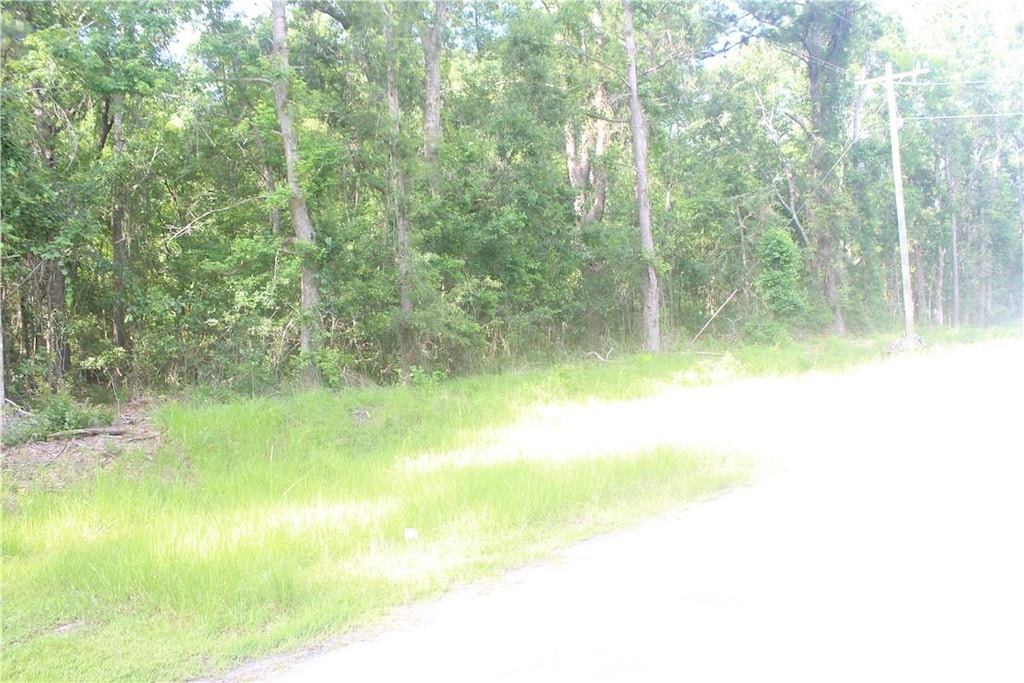 2976 Ardoch Rd, Townsend, GA 31331