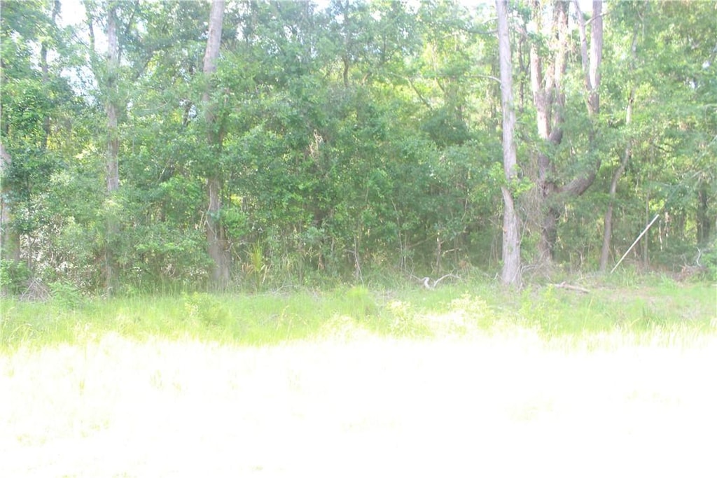 2976 Ardoch Rd, Townsend, GA 31331