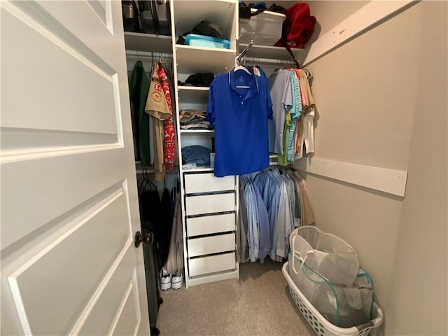 view of spacious closet