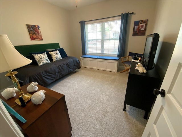 living room with light colored carpet