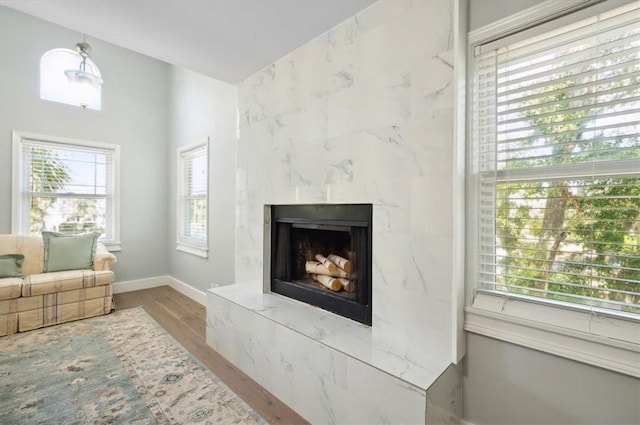 interior space with a premium fireplace, baseboards, vaulted ceiling, and wood finished floors