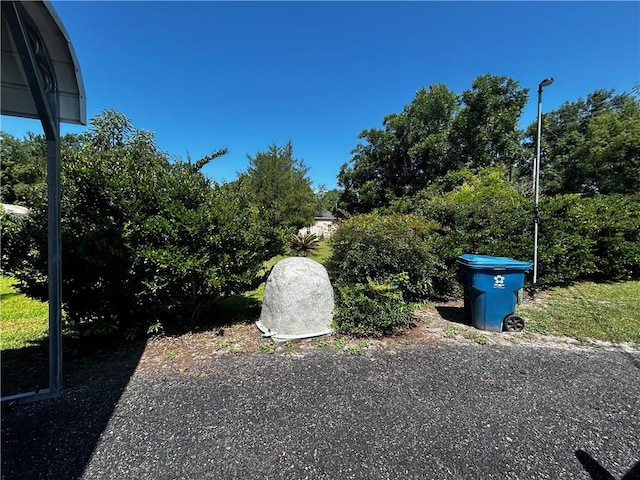 604 E Waring St, Waycross, GA 31501 - view of yard