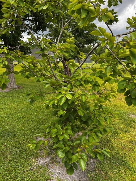 604 E Waring St, Waycross, GA 31501 - view of undeveloped land