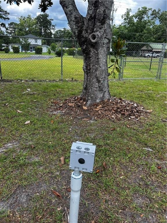 604 E Waring St, Waycross, GA 31501 - view of yard