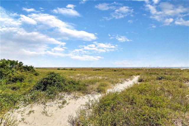 view of local wilderness with a rural view