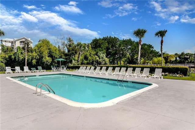 view of swimming pool with a patio