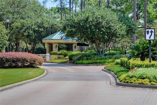 surrounding community with curved driveway