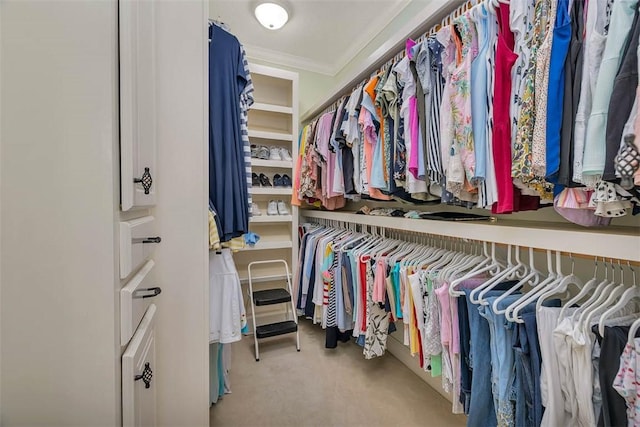 17 Willow Ct, Brunswick, GA 31523 - spacious closet featuring carpet floors