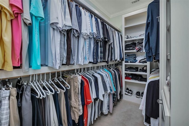 17 Willow Ct, Brunswick, GA 31523 - view of spacious closet