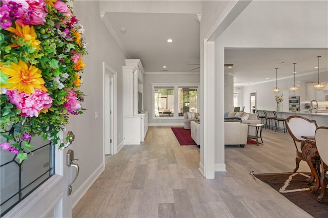 107 Cason Noah Dr, Kingsland, GA 31548 - foyer with light wood-type flooring, ornamental molding, and sink