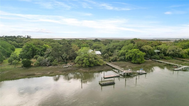 6035 Barbour Is, Townsend, GA 31331 - water view with a floating dock and a forest