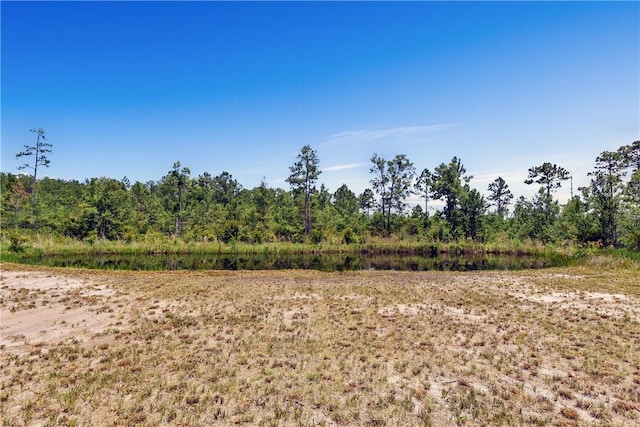 1075 Waters Ct SE, Darien, GA 31305 - photo 3