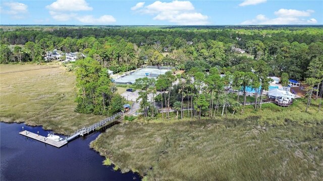 bird's eye view featuring a water view and a forest view