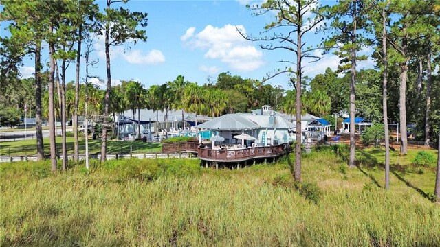 1036 Greenwillow Dr, Saint Marys, GA 31558 - photo 72
