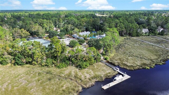 1036 Greenwillow Dr, Saint Marys, GA 31558 - photo 59